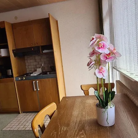 Klausenhof Mit Schoenem Balkon - Hauber * Herrischried